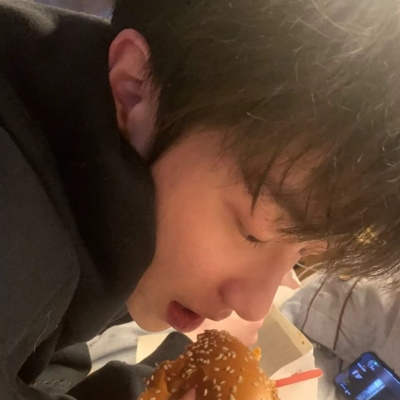 兽设火焰元素融合福瑞群